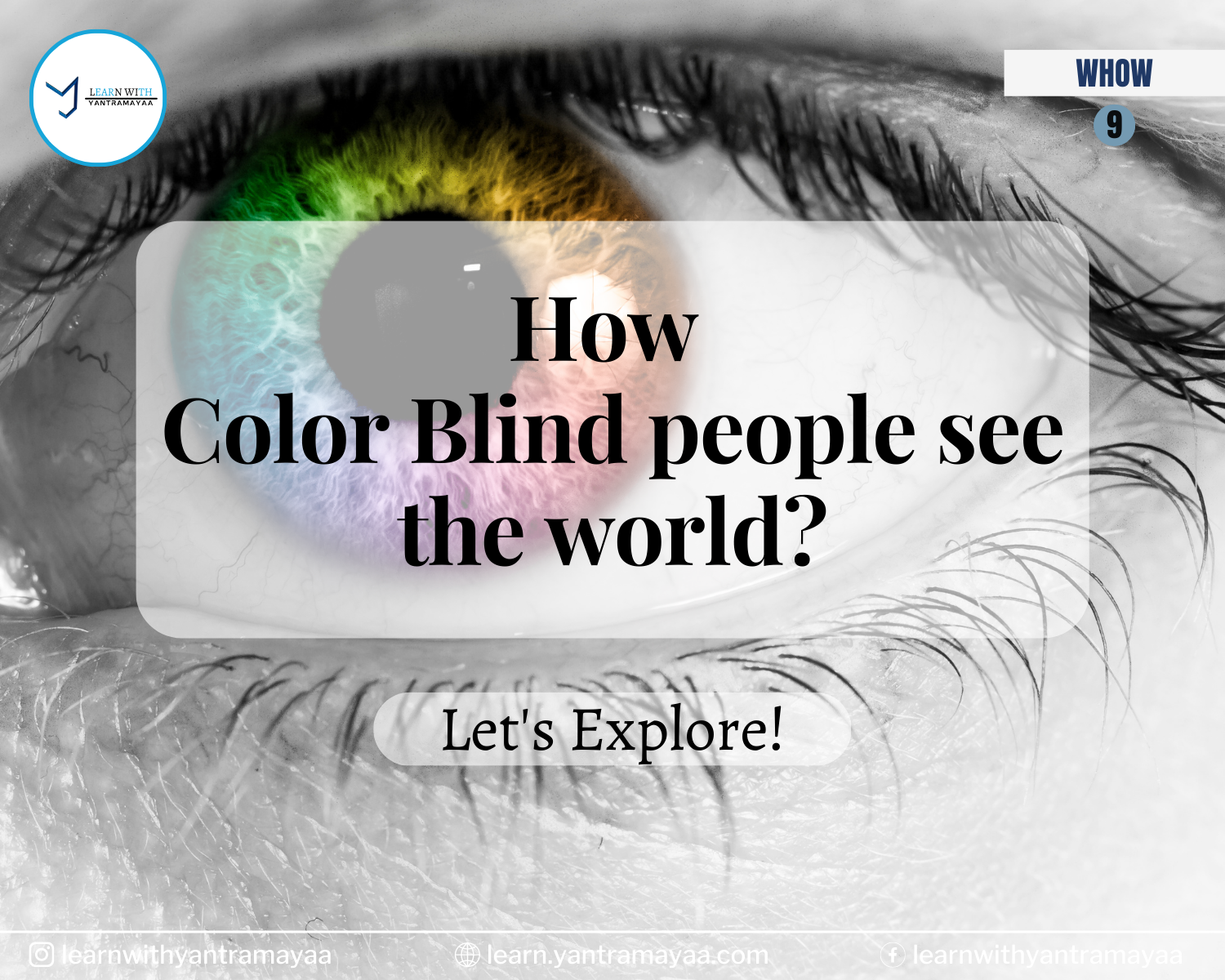 How Color Blind people see the world