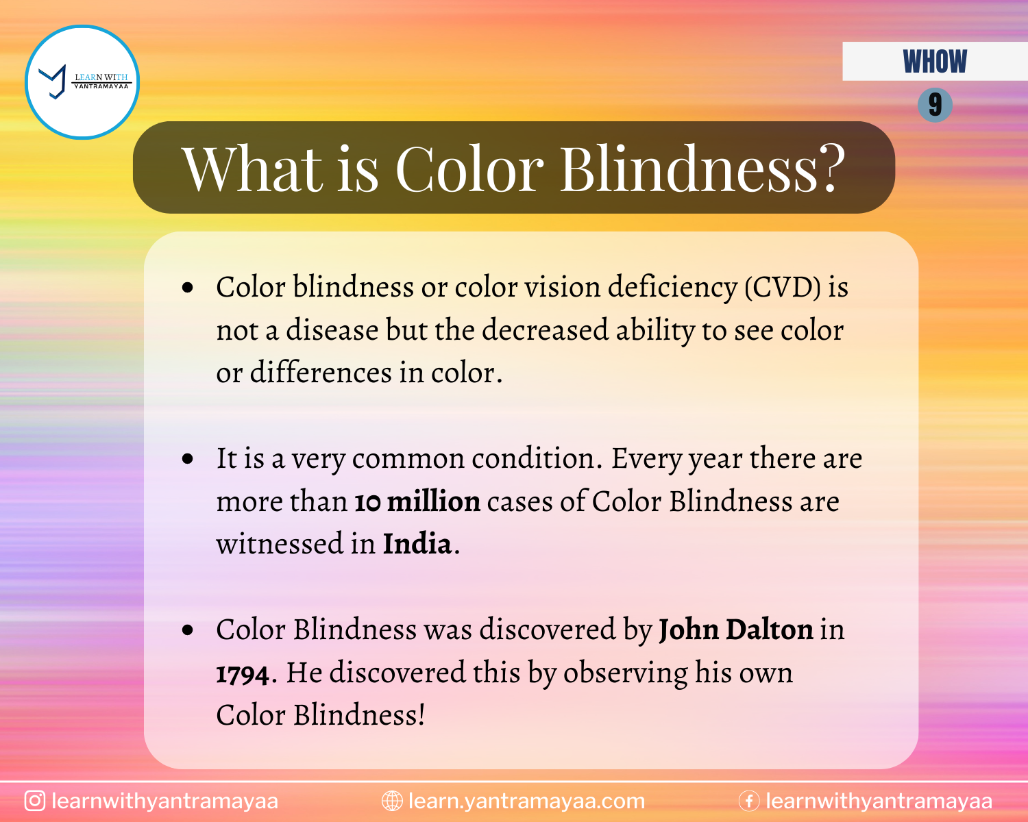 What is Color Blindness