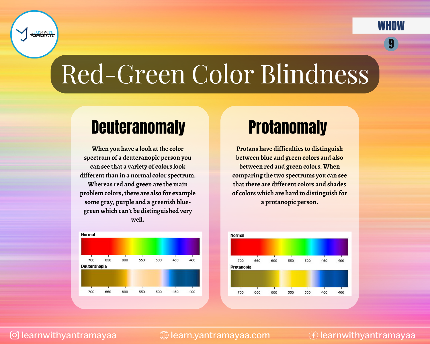 Red-Green Color Blindness