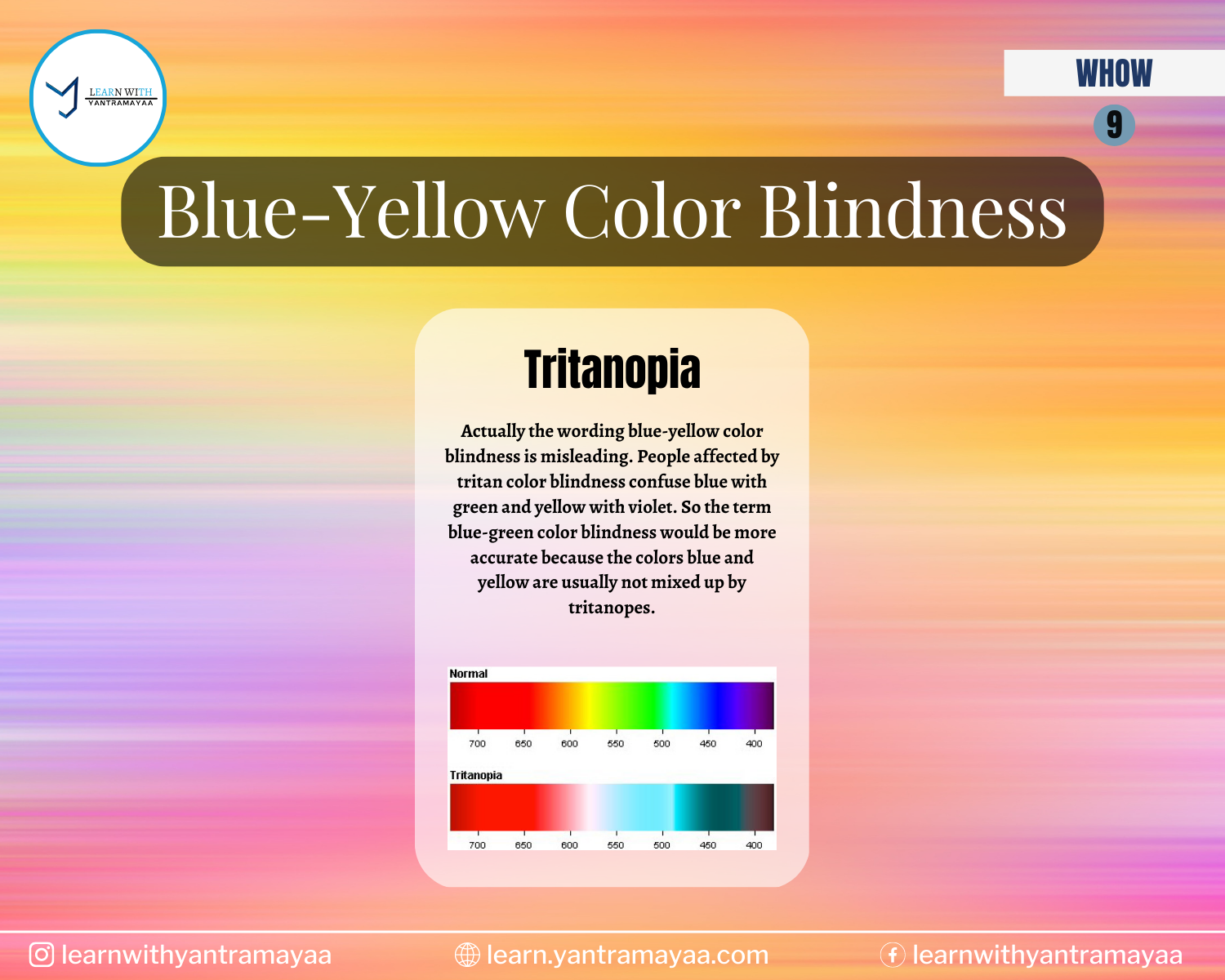 Blue-Yellow Color Blindness