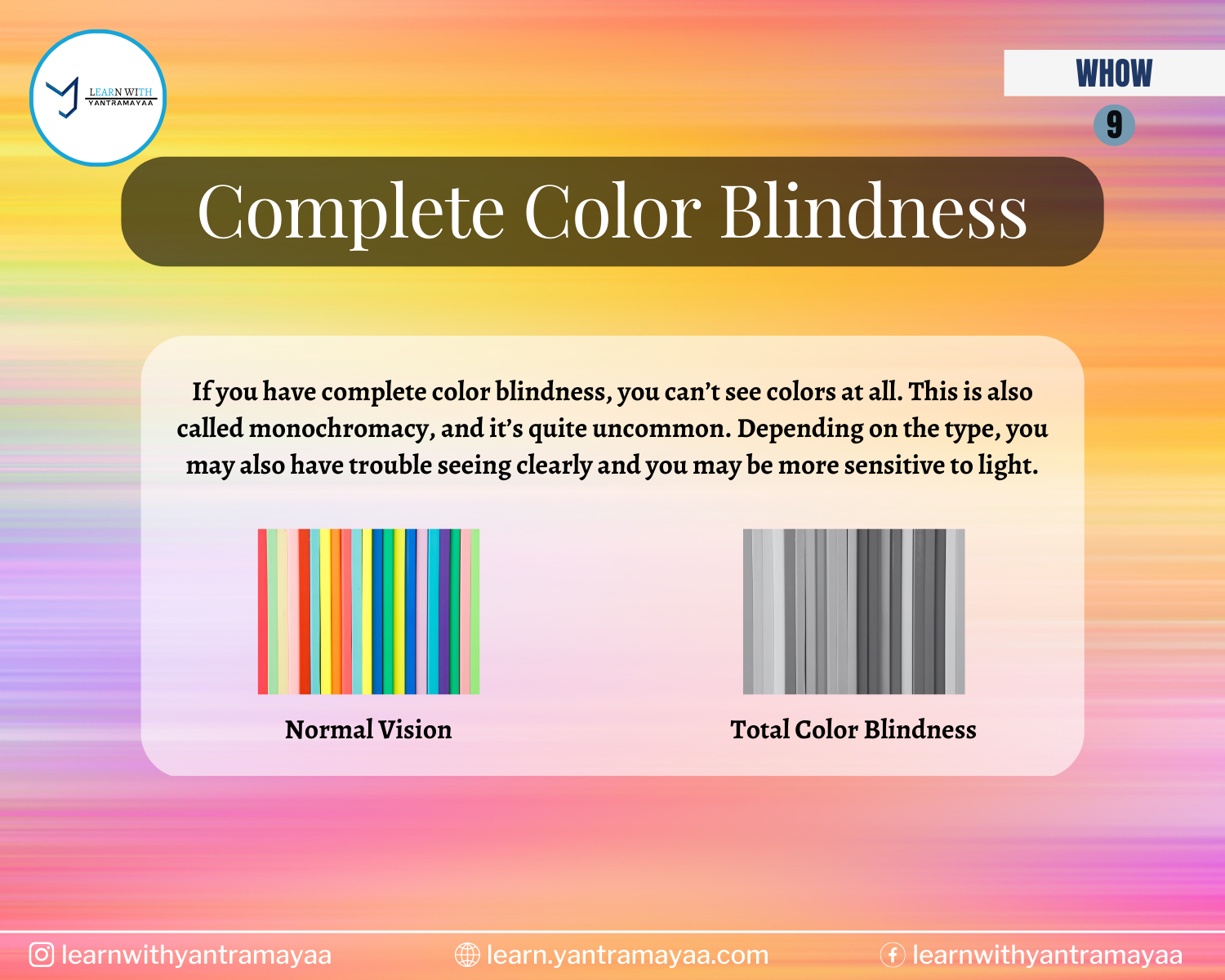 Complete Color Blindness