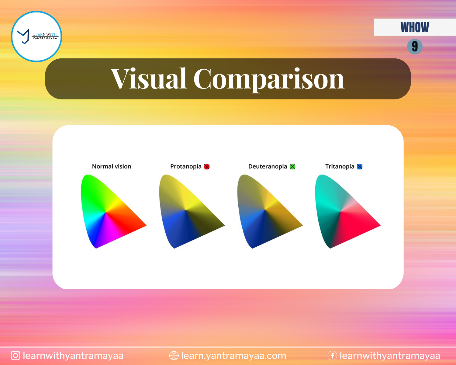 Visual Comparison Color Blindness